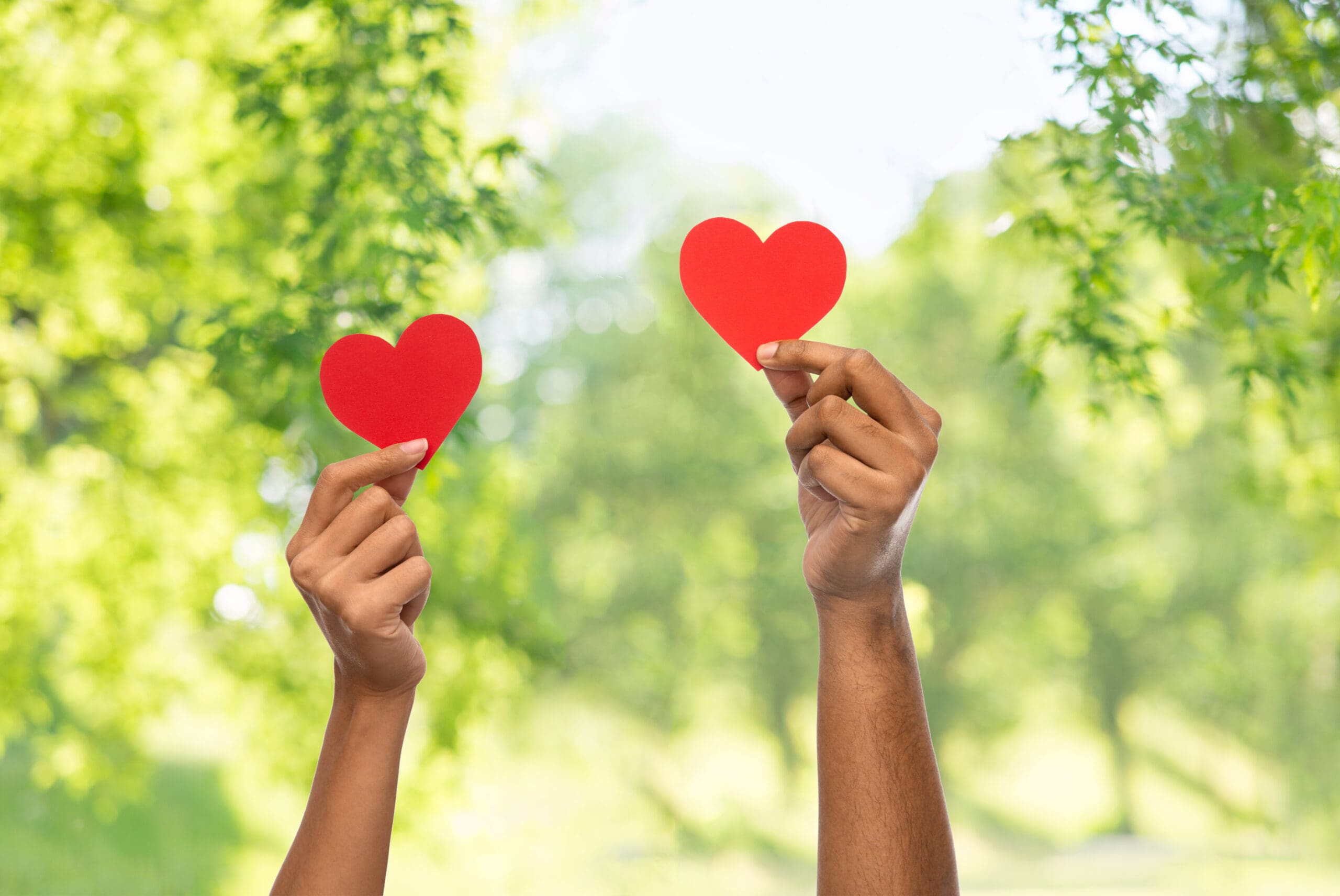 charity, love and health concept - close up of female and male hands holding red heart over green natural background